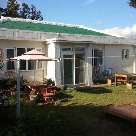 Sheelddi Pension Seogwipo Exterior foto